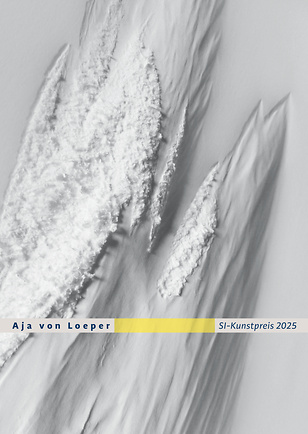 Booklet zum SI Kunstpreis 2025
