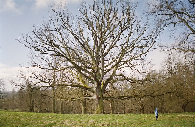  (&copy;&nbsp;Irina Kholodna)