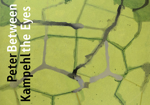 kunst galerie fürth (Hrsg.)